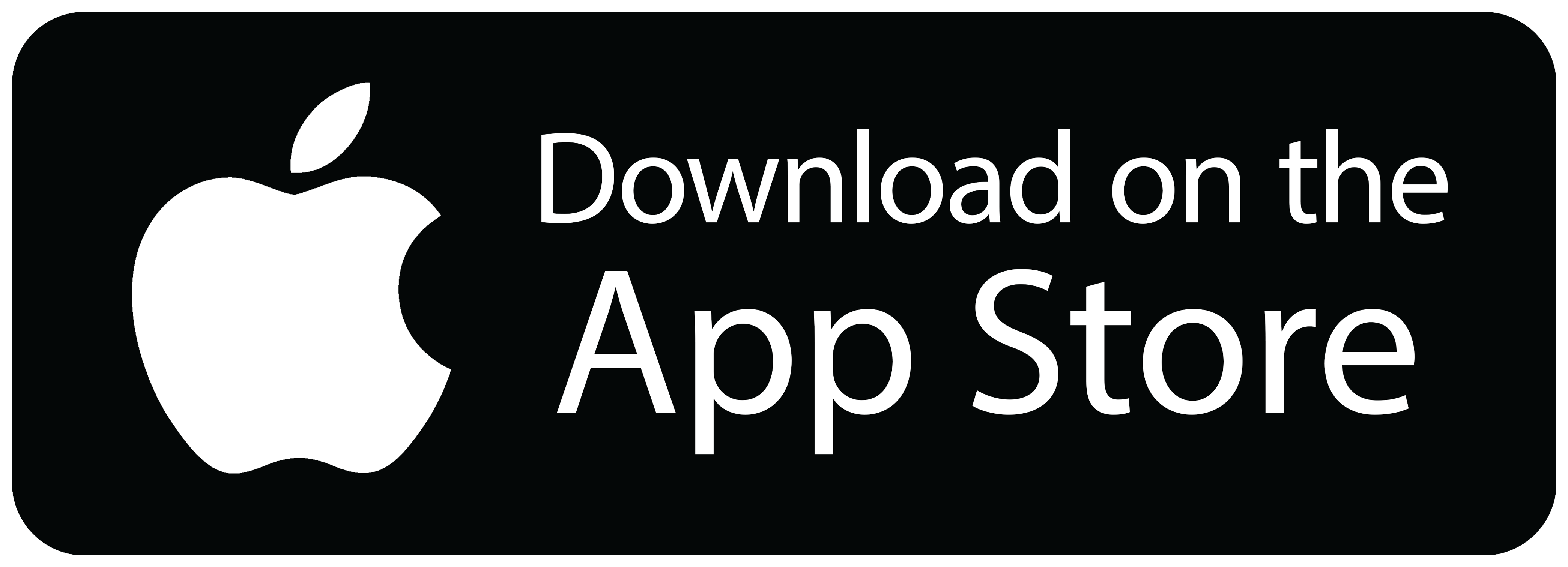 Download DubaiNow App in App Store